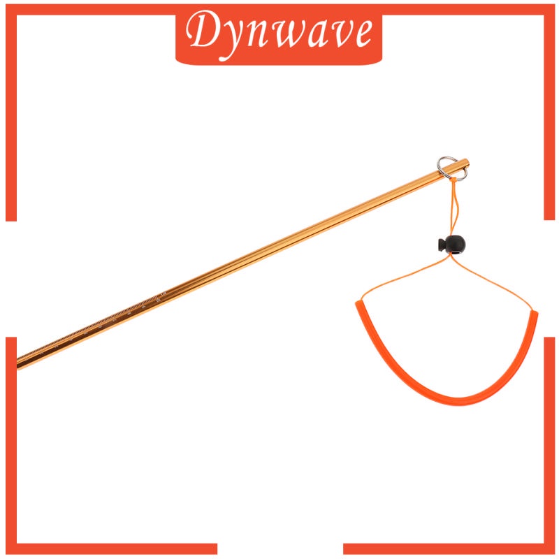 Gậy lặn bằng hợp kim nhôm kèm dây đeo cổ tay tiện dụng | BigBuy360 - bigbuy360.vn