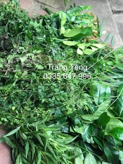 Lá tắm thảo mộc cho mẹ - bé