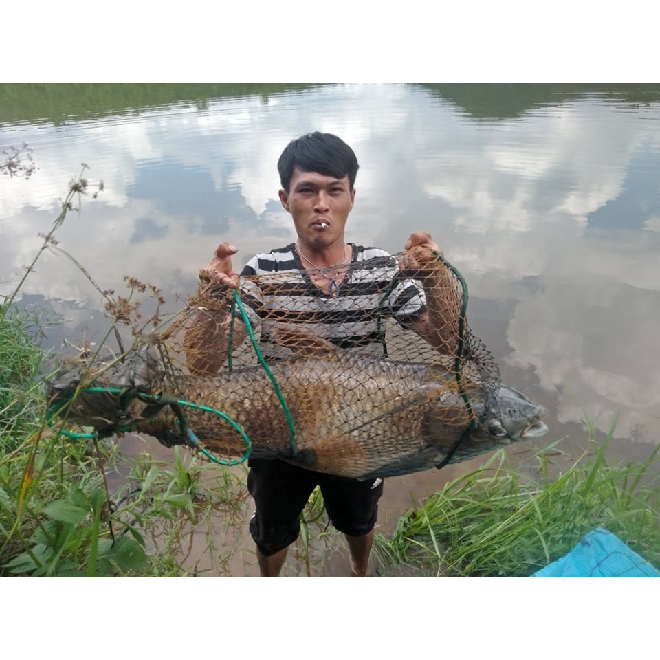 Mồi câu cá LK Hòa [ chuyên săn trắm đen]