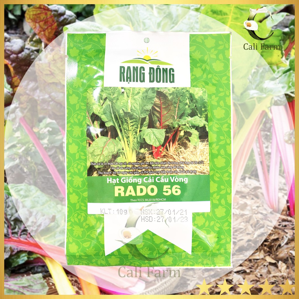 Hạt Giống Cải cầu vồng Rado 56 gói 10gr Dễ trồng, Ăn Ngon