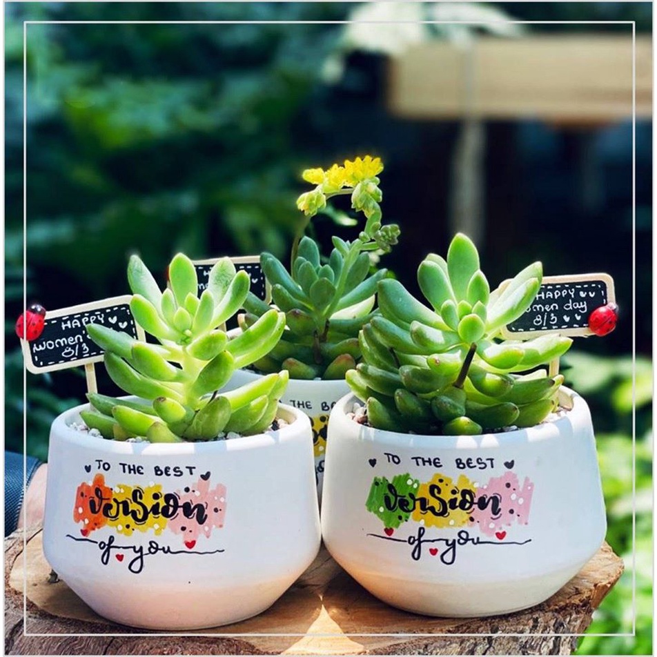 [IN HÌNH VẼ CHỮ THEO YÊU CẦU] Chậu Sứ Trồng Cây Cảnh Để Bàn, Sen Đá, Xương Rồng, Terrarium- Mẫu kim cương