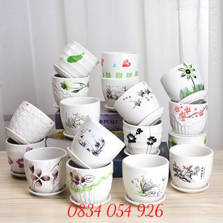 Chậu Trồng Cây Mini Để Bàn Trồng Sen Đá