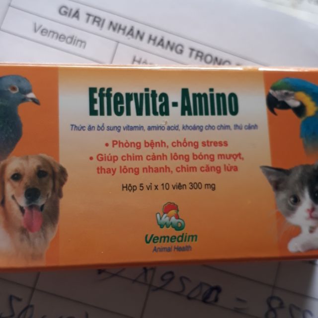 Thuốc bổ chim chó effervita amino