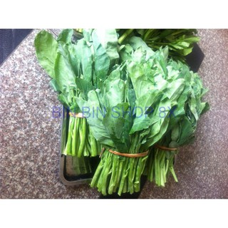 Hạt giống rau cải làn - 20 gr