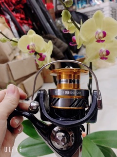 Máy câu cá daiwa  LT cao cấp 5000- 6000