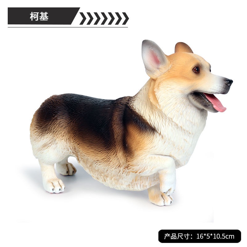 mô phỏng đồ chơi corgi động vật rắn mô hình nhựa tĩnh vật nuôi chó con trai bé gái Nghi thức nhận thức của trẻ em