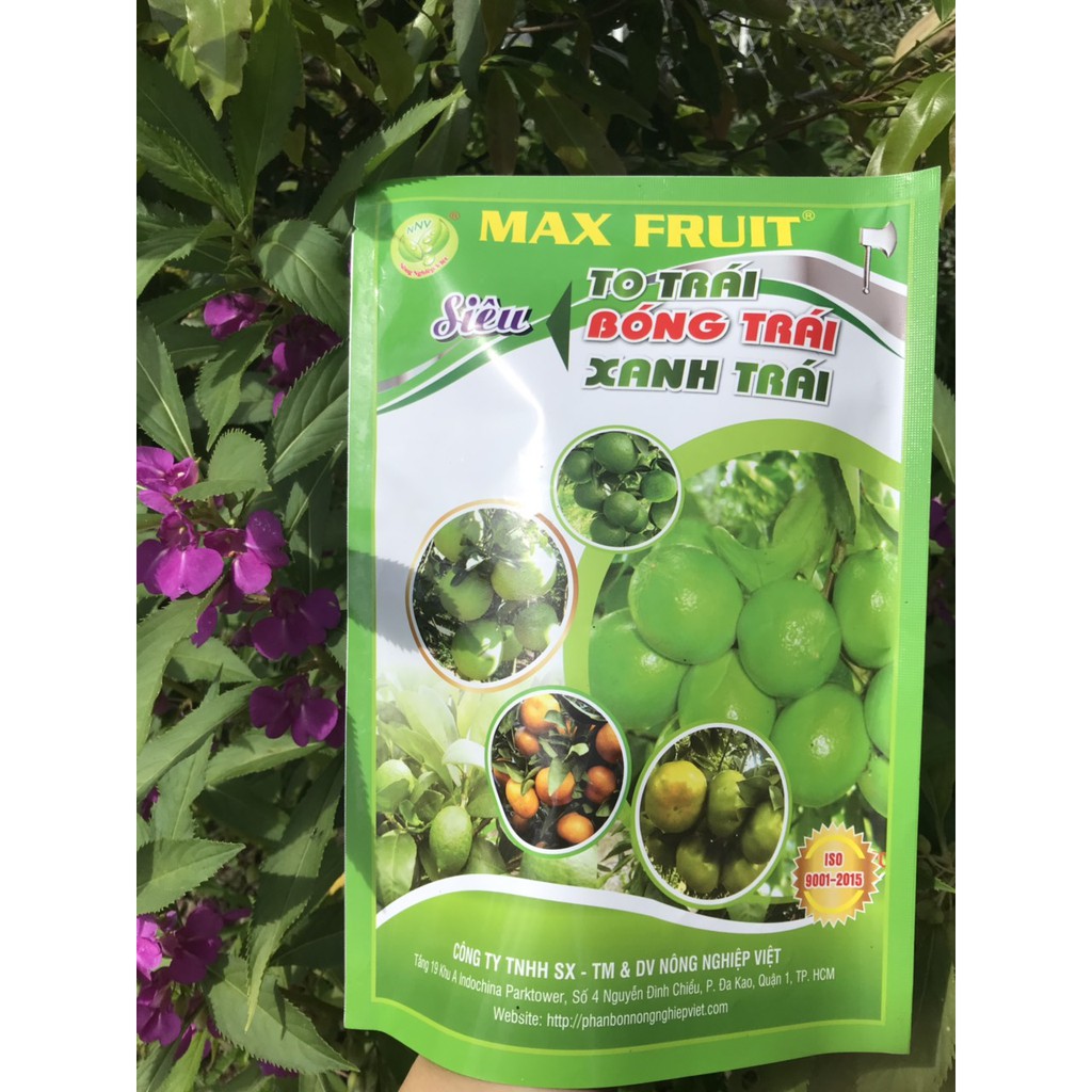 Phân Bón Siêu To Bóng Trái Max Fruit Gói 1kg - To Trái, Bóng Trái, Xanh Trái