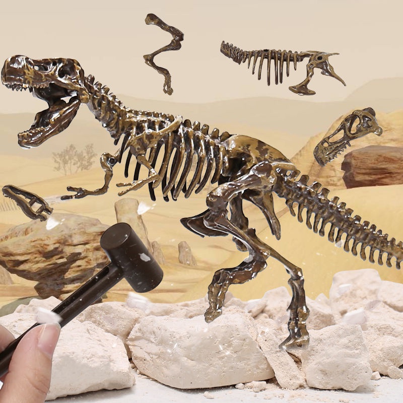 ✲㍿☋Trẻ em khủng long hóa thạch Tyrannosaurus rex bộ xương tự làm bằng tay mô hình lắp ráp tự làm đồ chơi khai quật khảo