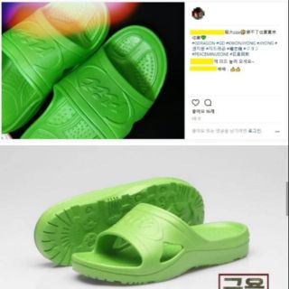Dép giống GD
