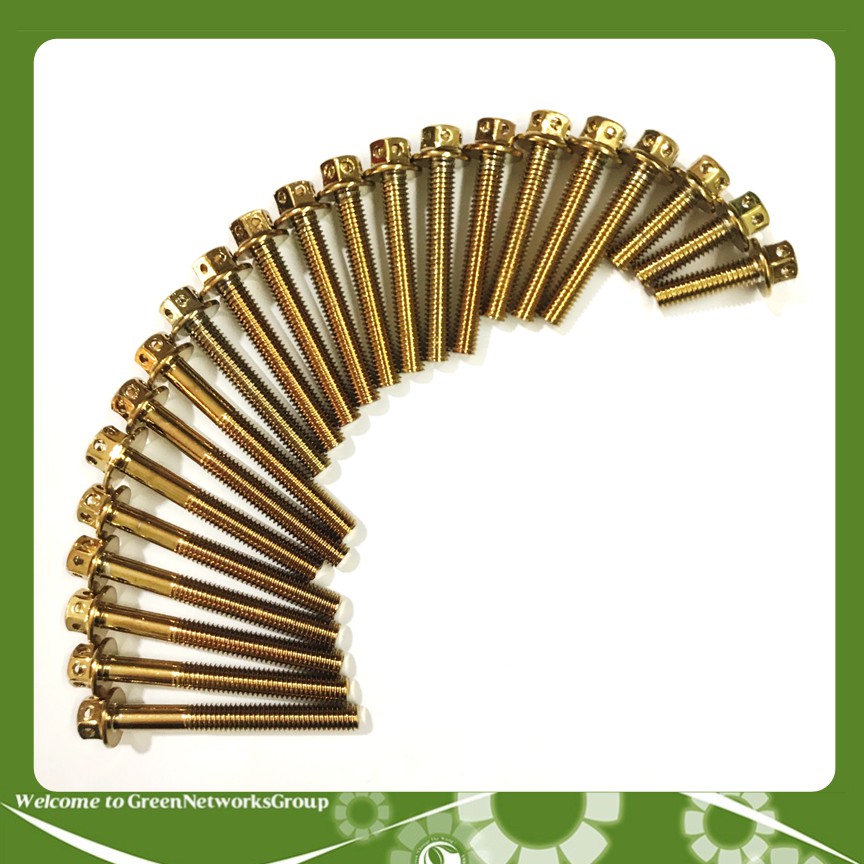 Bộ ốc Vương miệng dành cho xe Exciter 2011