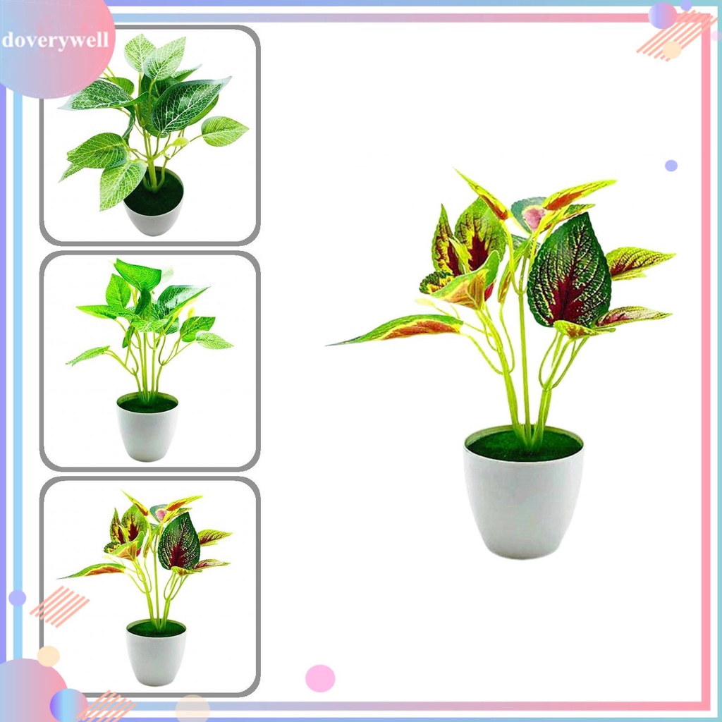 Chậu cây giả 5 kiểu tùy chọn trang trí nhà cửa