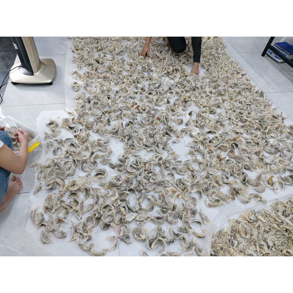 ✔ [100gr] YẾN TINH CHẾ KHÁNH HÒA (8-10 tổ) + Quà Tặng Kèm