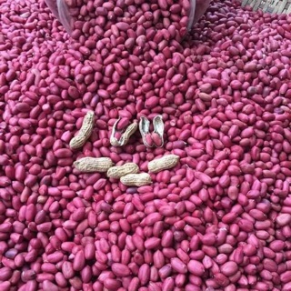 Lạc đỏ nương đặc sản Tây Bắc (1kg)( giống cũ của đồng bào dân tộc H’Mông)