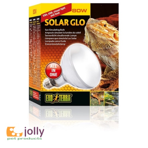 Đèn Sưởi Bò Sát – Đèn Solar Glo 80w và 125w  (3 In 1) Hãng Exo Terra