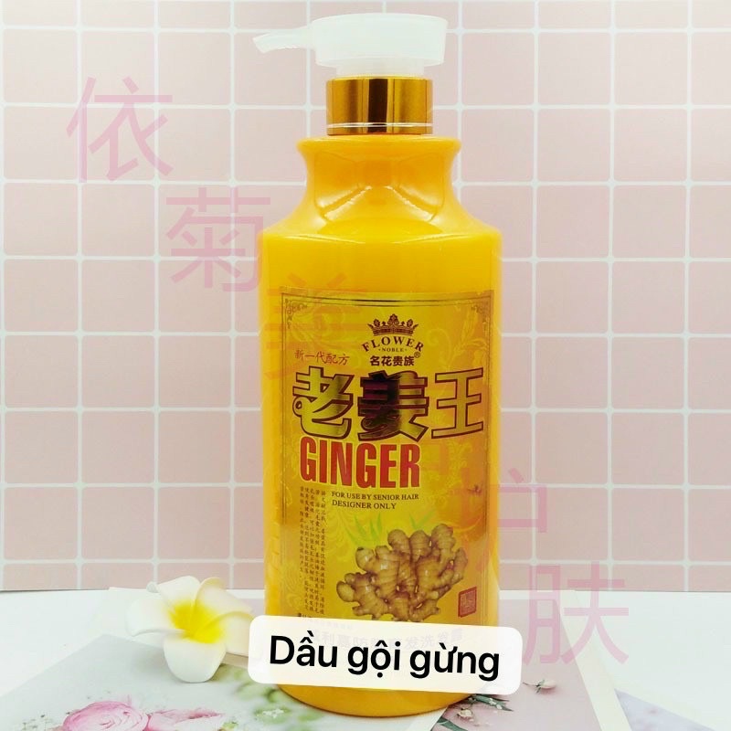 Dầu gội gừng ngăn rụng tóc  lưu thông khí huyết cải thiện đau đầu mất ngủ