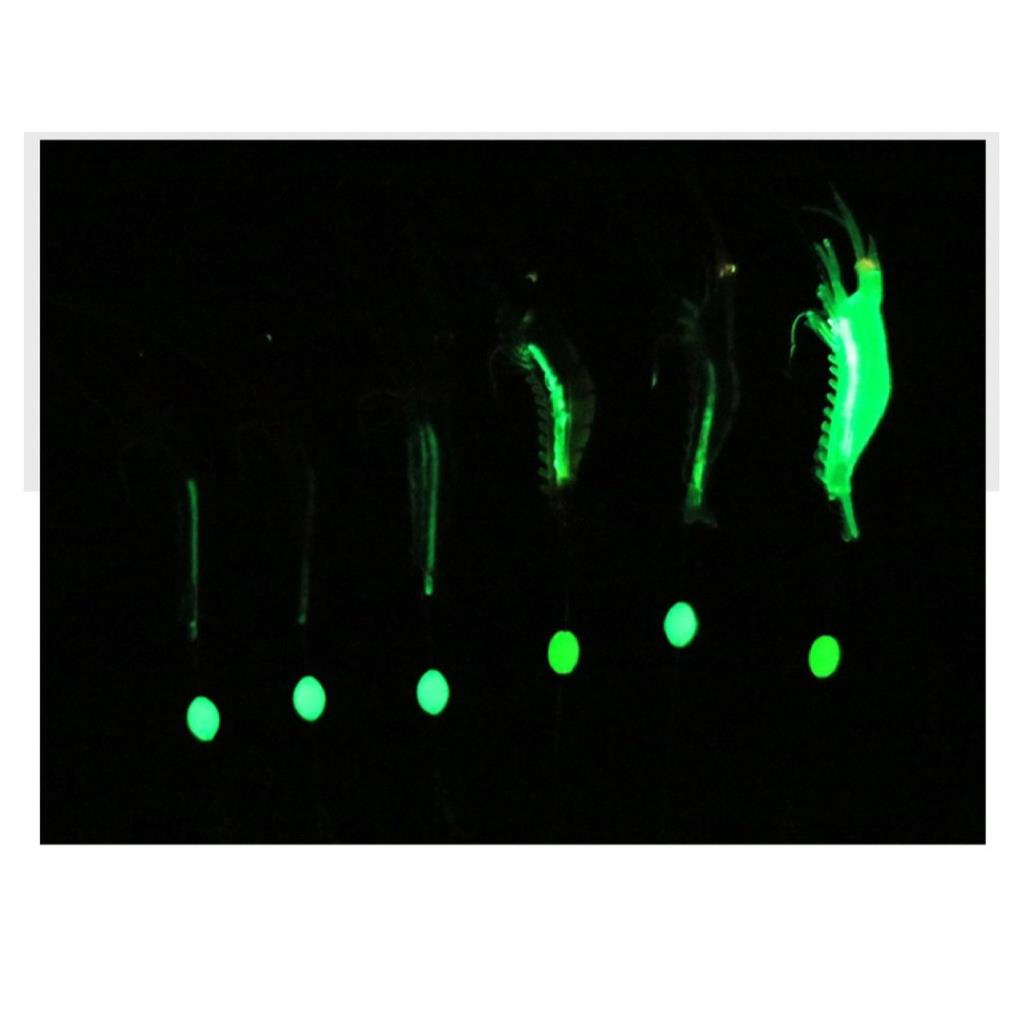 Mồi Câu Lure_Chuyên Đồ Câu Lure _Mồi Câu Tôm Giả Siêu Nhạy_ Lure _08