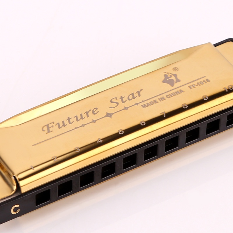 Kèn Harmonica 10 Lỗ Cho Người Mới Bắt Đầu