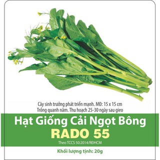 Hạt Giống Cải Ngồng (Cải Ngọt Ăn Bông) Dễ Trồng, Năng Suất Cao - Gói 20 Gram