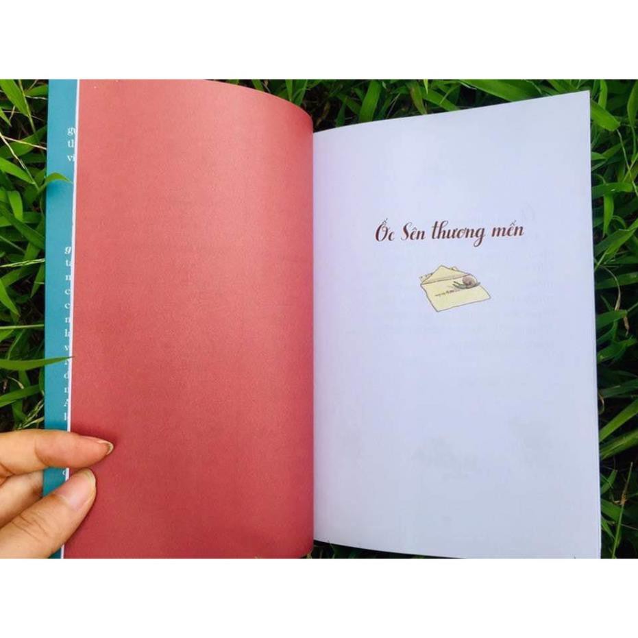 Sách Trọn Bộ: Ở Nơi Xa Tít Mù Khơi, Những Lá Thư Nhờ Gió Gửi Ai Đó, Một Cuộc Phiêu Lưu Ra Trò Và Rắc Rối,Sinh Nhật Ở