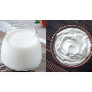 Sữa chua hy lạp homemade - ăn kiêng & tốt cho sức khoẻ