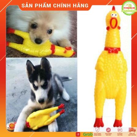 Đồ chơi tương tác chó mèo 🌺 FREESHIP 🌺 đồ chơi Con gà phát âm thanh chút chít có 3 size tương tác với thú cưng