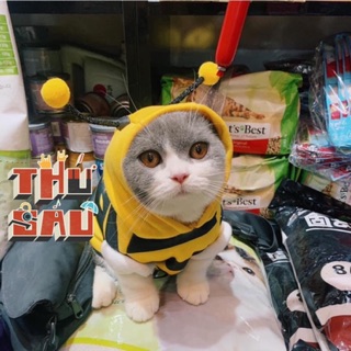 Áo nỉ bông hình thú