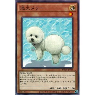 Thẻ bài yugioh - ocg - outstanding dog mary - bode-jp035 - common