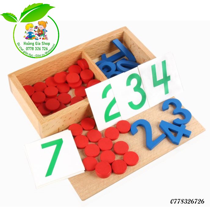 Số và hạt đếm kèm thẻ số bằng giấy Montessori (Numeral and counters)