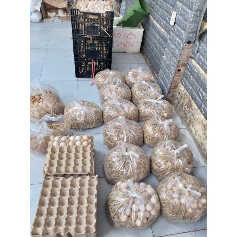 Một Chục Trứng Gà Ta Bổ Dưỡng