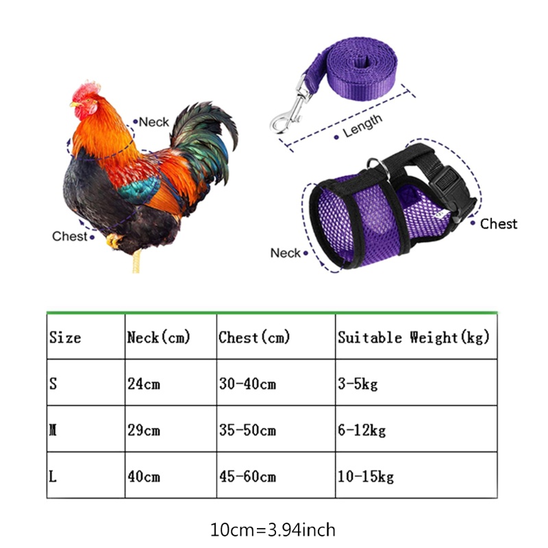 Bộ Dây Dắt Và Dắt Thú Cưng Đi Dạo Thiết Kế Dễ Thương Tiện Dụng