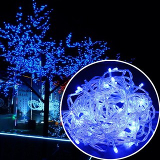 Combo 10 đèn led trang trí dài 8m màu xanh dương led tiêu siêu sáng