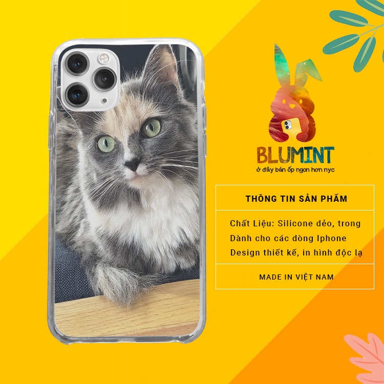Ốp đt Cat Mèo con đặc biệt cho iPhone12promaxXS XR nữ 8plus mềm 7Plus X XR Xs Max 6 6s BLUMEW0051