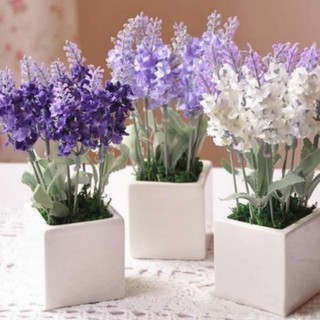 Hoa giả - hoa lavender trang trí nhiều màu ( giá bán 1 nhánh)