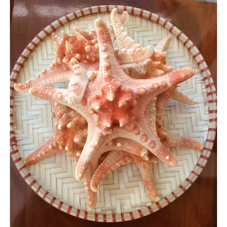 Sao biển đỏ khô