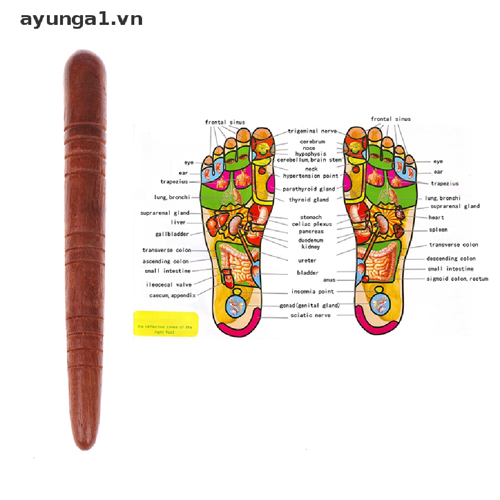 Gậy Gỗ Mát Xa Chân Thư Giãn Tốt Cho Sức Khỏe ayunga1