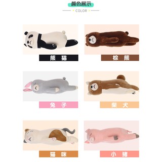 Gấu lười ngủ ngày