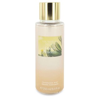 bodymist oasis bloom