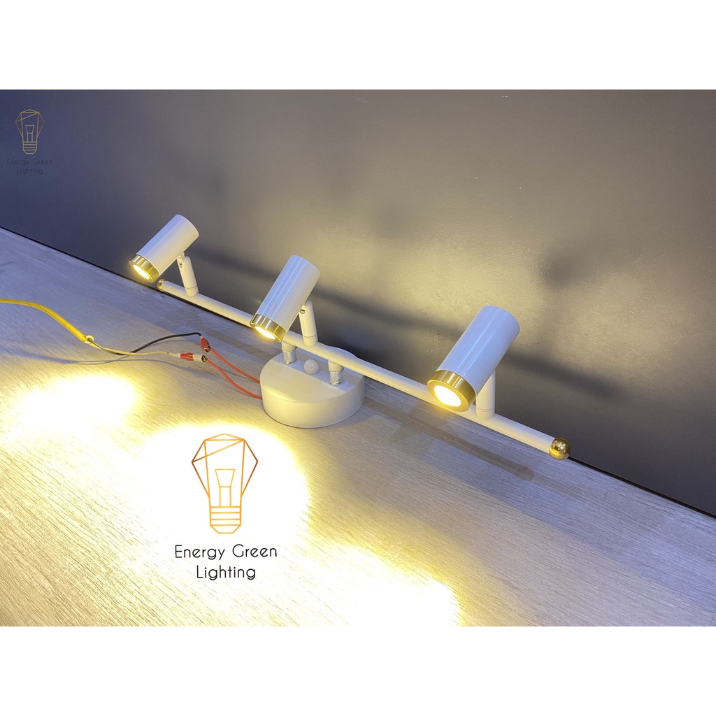 Đèn soi tranh - chiếu sáng  Energy Green Lighting 6028-3 15w - 3268-3 9w - Điều chỉnh được góc chiếu - Bảo Hành 12 Tháng