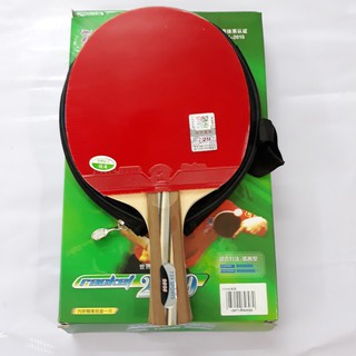 Vợt bóng bàn 729