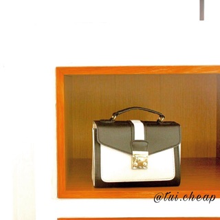 Mini vali bag