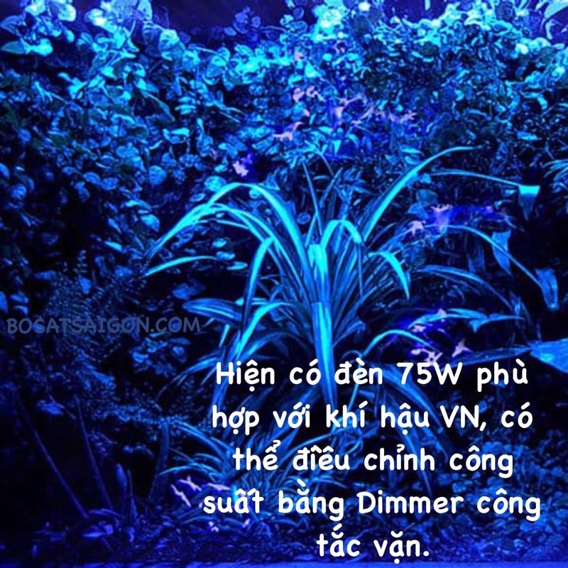 Đèn SƯỞI ẤM ĐÊM 75W giá sỉ, CHO BÒ SÁT, RỒNG NAM MỸ, RÙA NƯỚC, SULCATA, NÚI VÀNG. GIÁ RẼ NHẤT. Chính hãng EXO TERRA.