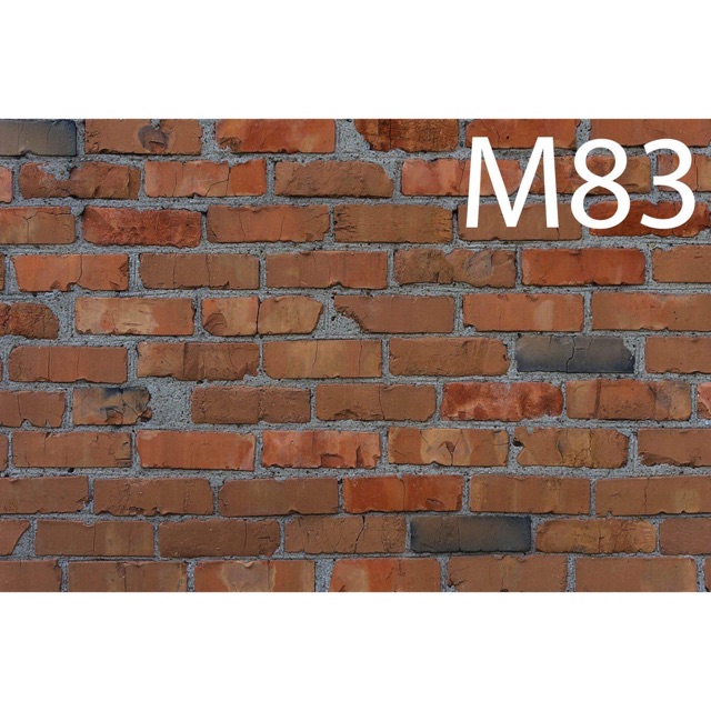 Thảm vải 3D chụp ảnh