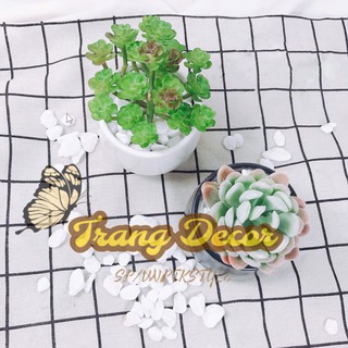 Đá sỏi trắng trang trí cỡ trung