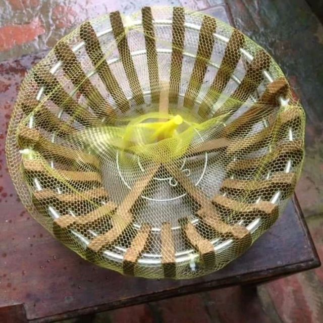 500 gam LƯỚI LÓT CHẬU MẮT DẦY 50CM