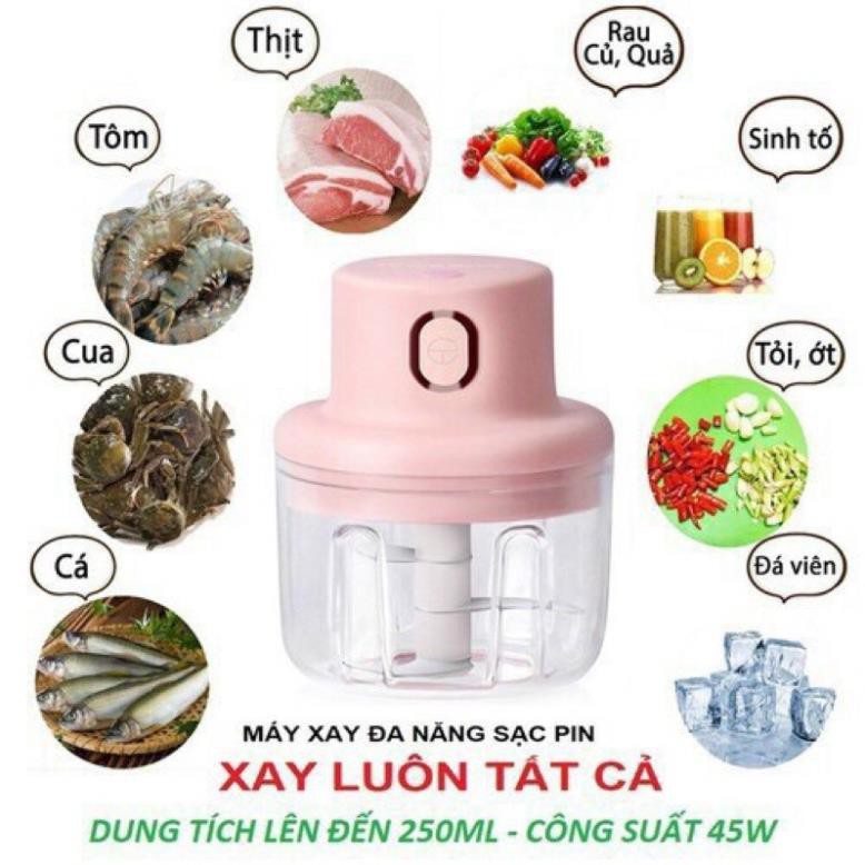 [KHO SỈ] Máy xay mini cầm tay đa năng nhỏ gọn tiện lợi 250ml