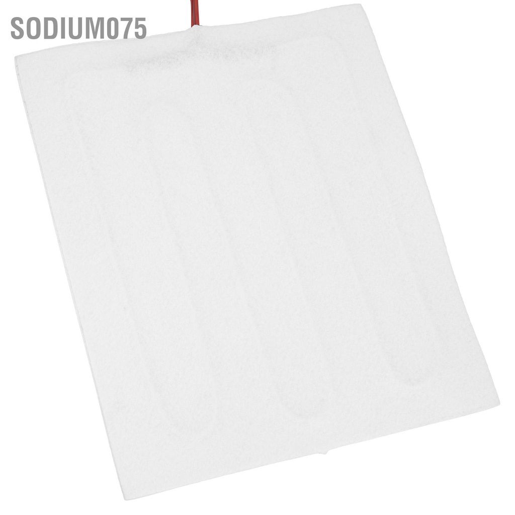 Có thể bán buôn Máy ấp trứng nằm dưới nước điện 25W đa chức năng cho gà ngỗng vịt Mỹ Cắm 100‑240V Sodium075 Hàng giao ngay