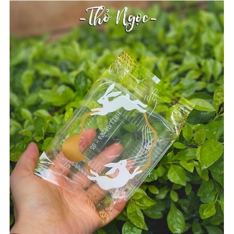 Combo 100 túi và khay đựng bánh trung thu