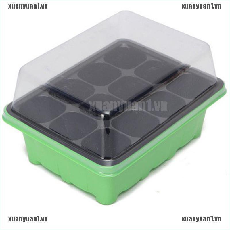 Set 3 Khay Gieo Hạt Trồng Cây 12 Ngăn Tiện Dụng