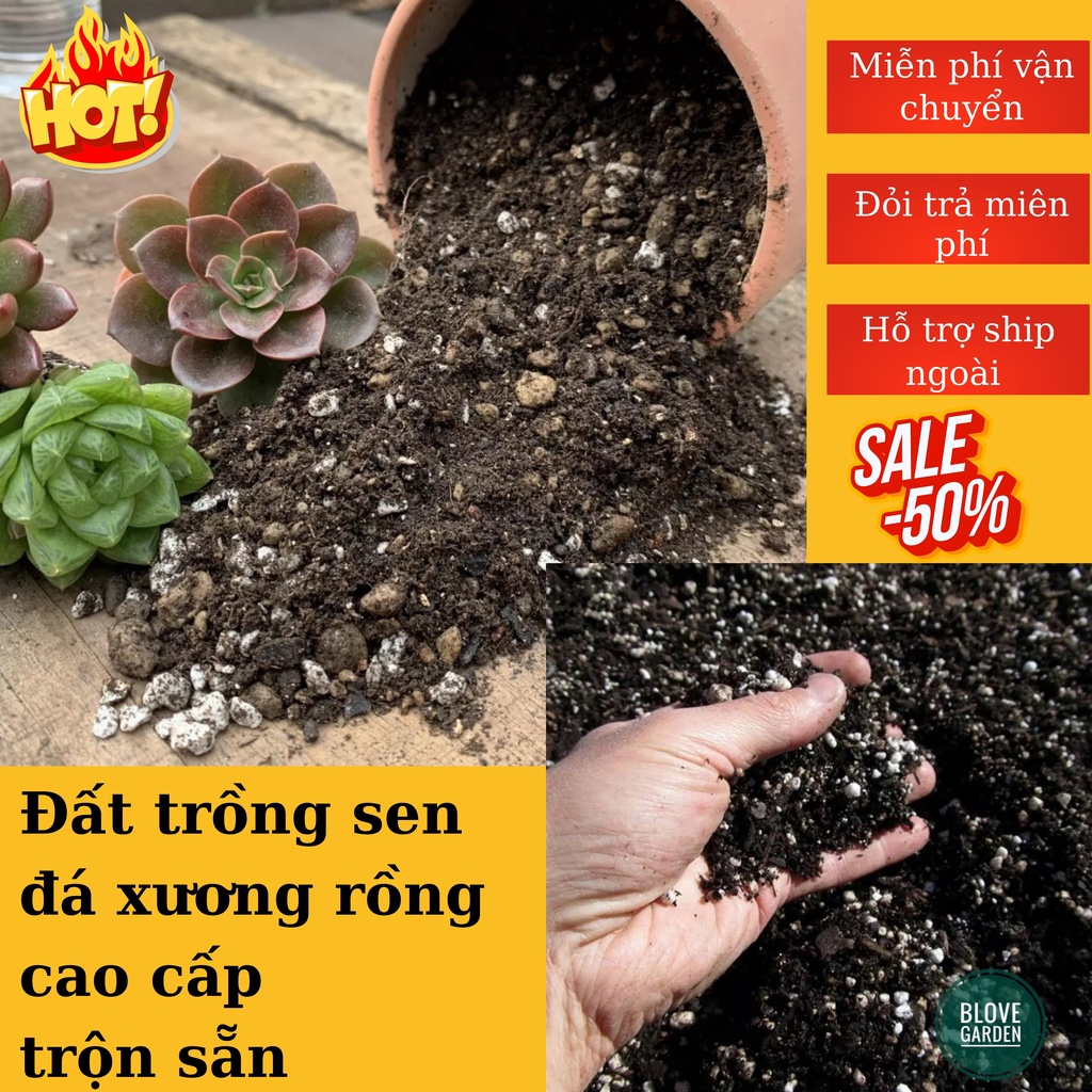 Đất trộn sẵn cao cấp trồng sen đá ,xương rồng, cây cảnh,dinh dưỡng,tơi xốp,thoát nước tốt , kích thước