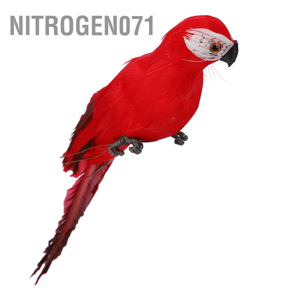 Nitrogen071 Mô phỏng Lông Vẹt Macaw Vườn Trang trí Nội thất Chim giả